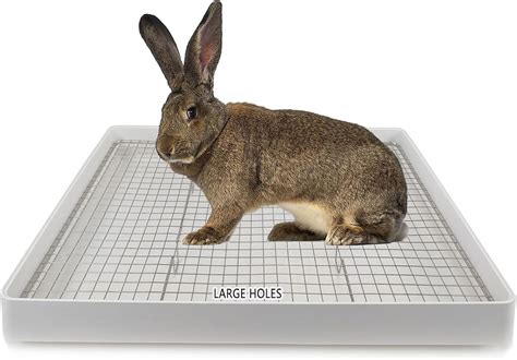 steel rabbit potty box|Oncpcare 22x18 Super Large Rabbit Litter Box with 2 Grates .